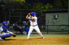 Enlarge photo 133