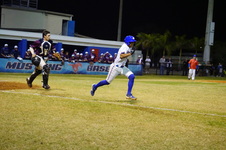 Enlarge photo 119
