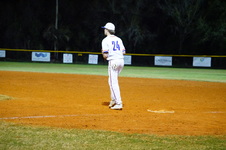 Enlarge photo 184