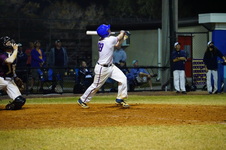 Enlarge photo 447