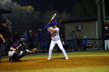 Enlarge photo 475