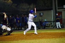 Enlarge photo 484