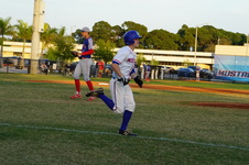 Enlarge photo 272