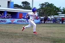 Enlarge photo 428