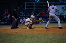 Enlarge photo 511