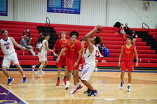 Enlarge photo 242