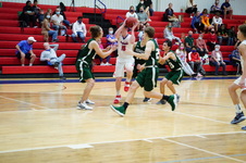 Enlarge photo 176
