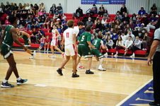 Enlarge photo 230