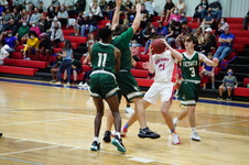 Enlarge photo 243