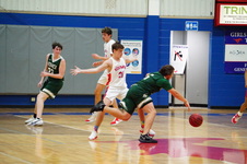 Enlarge photo 255