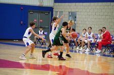 Enlarge photo 95