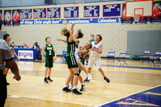 Enlarge photo 126