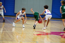 Enlarge photo 219