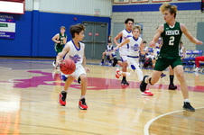 Enlarge photo 259