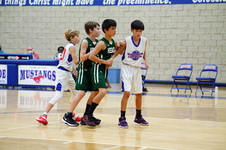 Enlarge photo 265