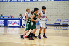 Enlarge photo 267