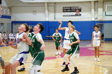 Enlarge photo 65