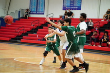 Enlarge photo 204