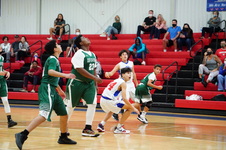 Enlarge photo 220