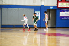 Enlarge photo 238