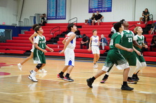 Enlarge photo 257