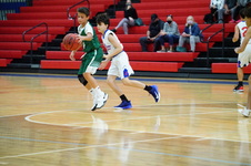 Enlarge photo 346