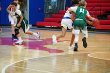 Enlarge photo 351