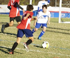 Enlarge photo 33