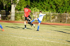 Enlarge photo 42