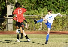 Enlarge photo 40