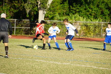 Enlarge photo 45