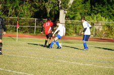 Enlarge photo 51