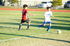Enlarge photo 68