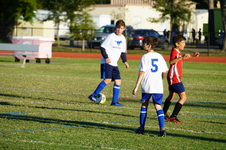 Enlarge photo 71