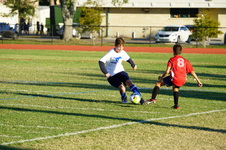 Enlarge photo 81