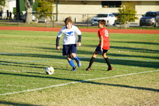 Enlarge photo 83