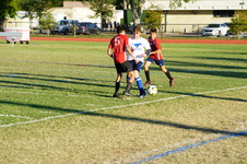 Enlarge photo 85