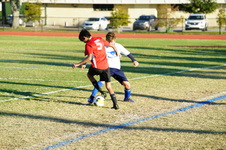Enlarge photo 88