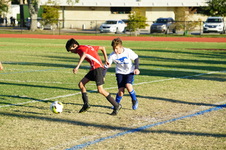 Enlarge photo 90