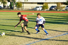 Enlarge photo 92