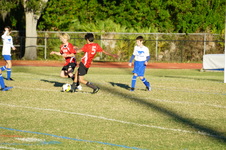 Enlarge photo 93