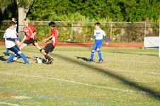 Enlarge photo 94
