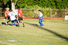 Enlarge photo 96