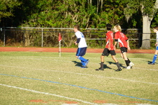 Enlarge photo 97