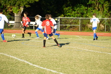 Enlarge photo 109