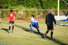 Enlarge photo 112