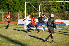 Enlarge photo 115