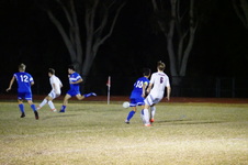 Enlarge photo 426