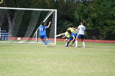 Enlarge photo 41