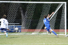 Enlarge photo 40